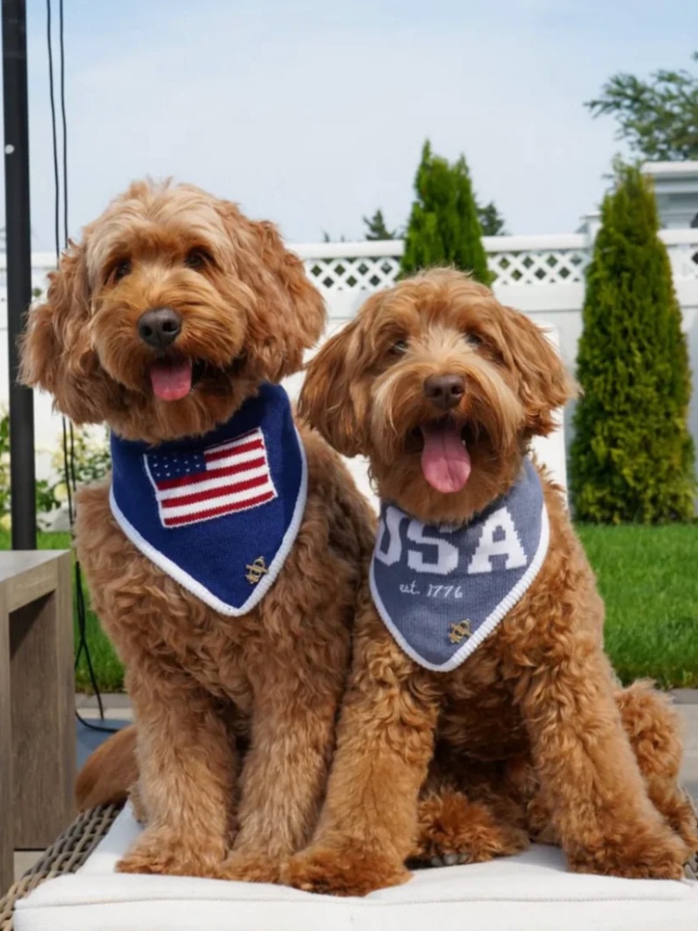 Blue USA Patriotic Dog Bandana - Knit Triangle Scarf for Dogs Size XXS NWT